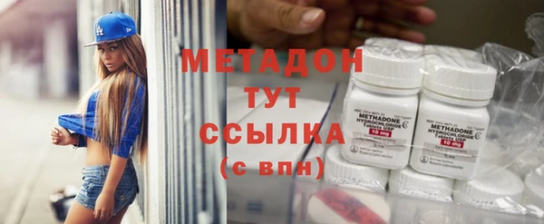 трава Белокуриха