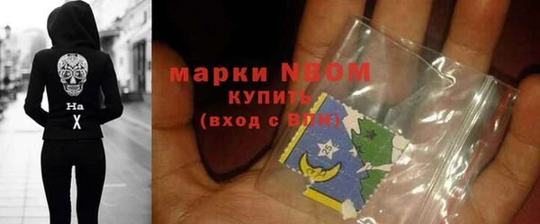 трава Белокуриха