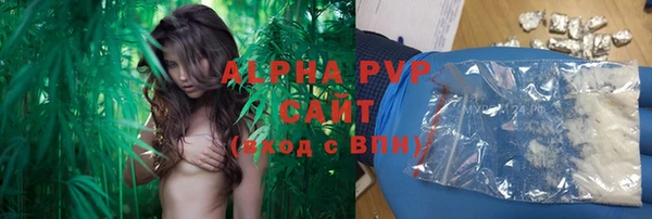 трава Белокуриха