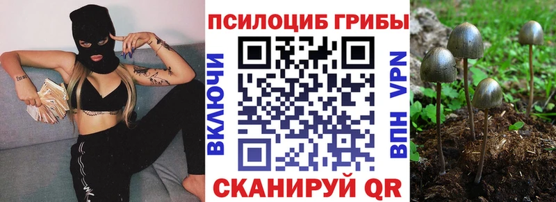 что такое Кущёвская Псилоцибиновые грибы GOLDEN TEACHER